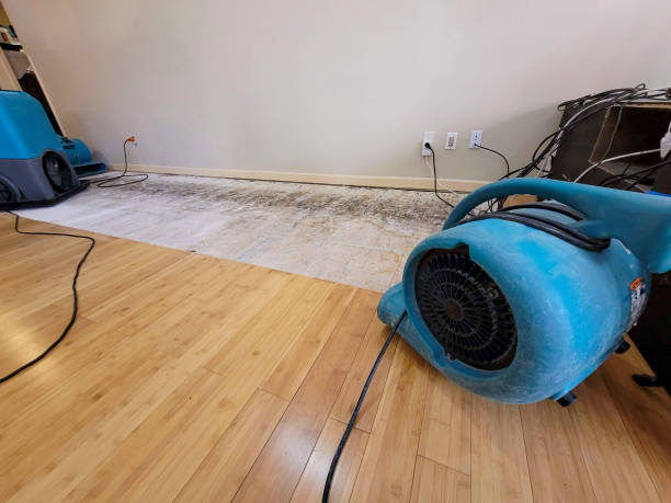 Professional Structural Drying technician working in Fredonia, WI